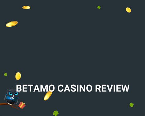 betamo casino review 2024